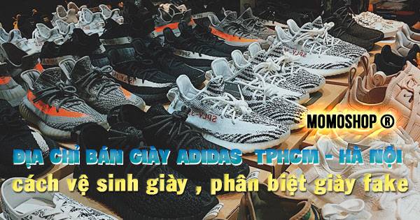 Địa chỉ bán mẫu Giày Adidas đẹp ở TPHCM – Hà Nội và cách vệ sinh