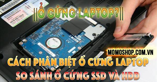 Ổ Cứng Laptop Là Gì? Cách phân biệt ổ cứng laptop, so sánh ổ cứng SSD và HDD