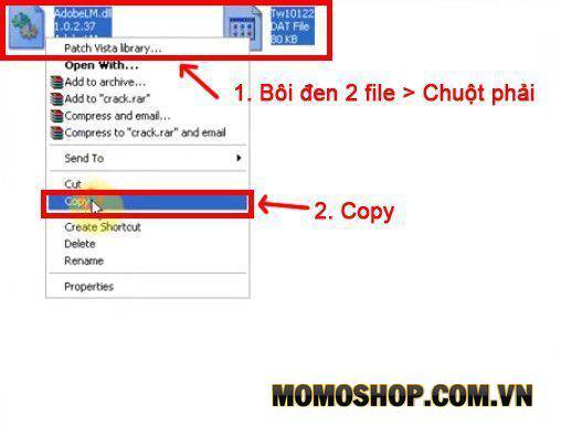 Sao chép 2 file trong thư mục
