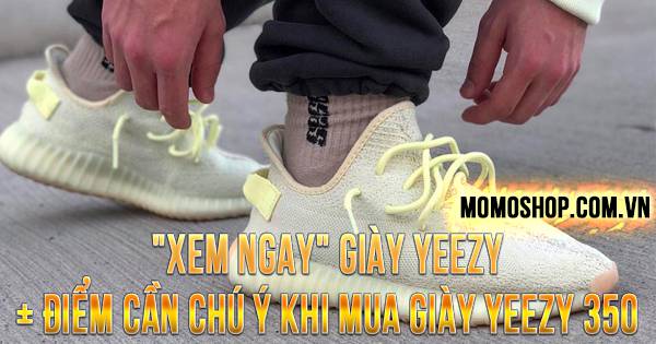 “XEM NGAY” Giày Yeezy + Điểm cần chú ý khi mua giày Yeezy 350