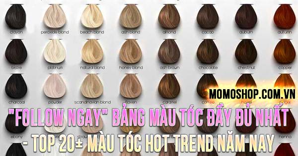 “FOLLOW NGAY” Bảng Màu Tóc đầy đủ nhất – Top 20+ màu tóc hot trend năm nay